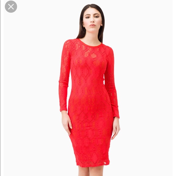 stretch lace dress with sleeves